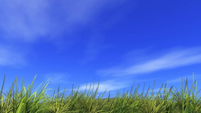 A Beautiful Day - by Dreamnote Music