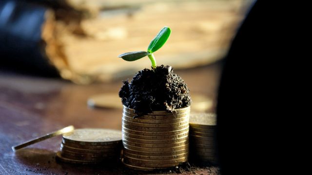 A Wise Investment - by Dreamnote Music