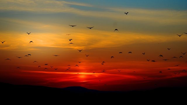 Atmospheric and Emotional Background with Vocals - by Dreamnote Music
