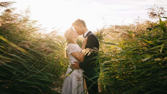 Beautiful Wedding Day - by Dreamnote Music