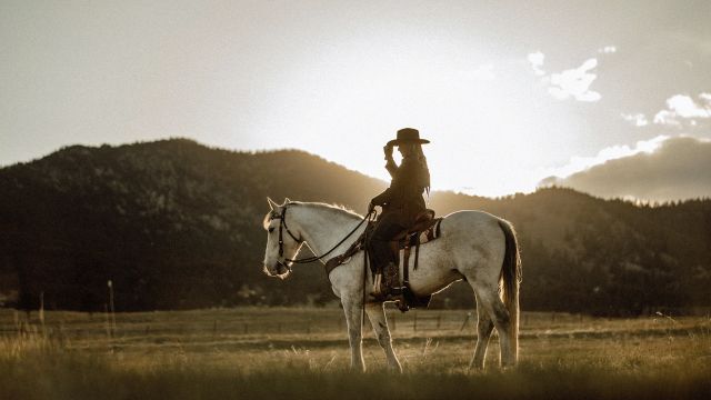 Country Ident - by Dreamnote Music