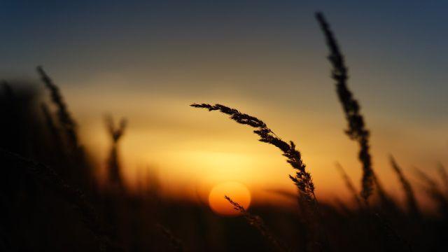 Emotional Acoustic Cinematic - by Dreamnote Music