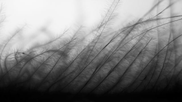 Emotional Atmospheric Piano and Strings - by Dreamnote Music