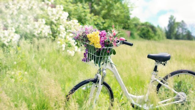 English Country Living - by Dreamnote Music