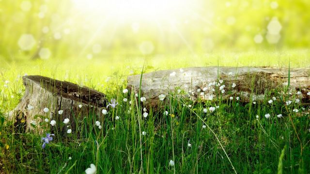 English Springtime - by Dreamnote Music