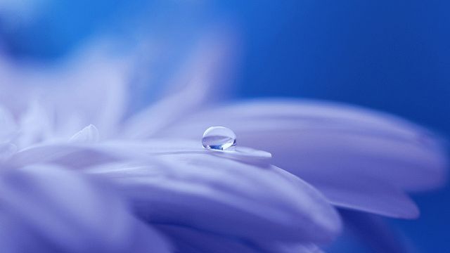 Find Beauty in Everything - by Dreamnote Music