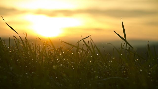 Gifts of Nature - by Dreamnote Music