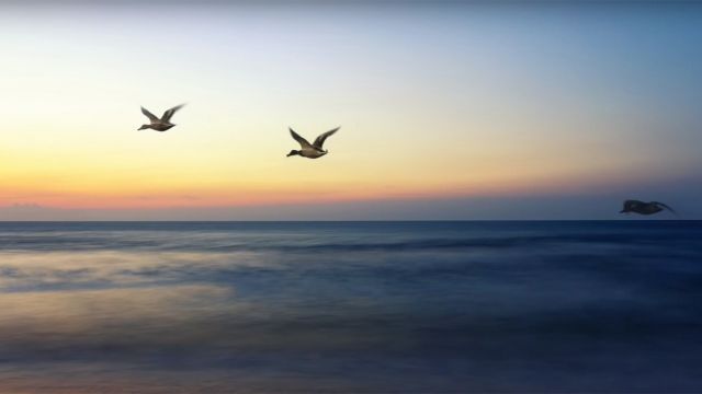 Hope - by Dreamnote Music