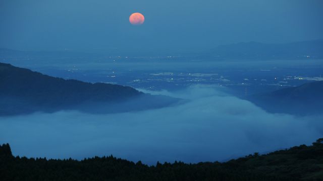In the Moonlight - by Dreamnote Music