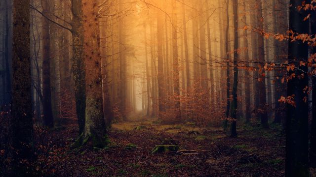 Magical Ambient Background - by Dreamnote Music