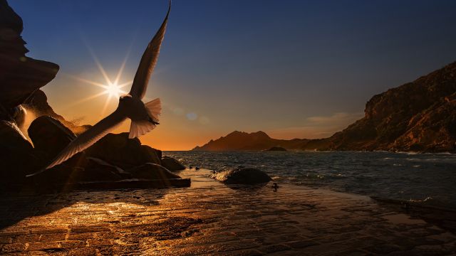 Magical Inspiration - by Dreamnote Music