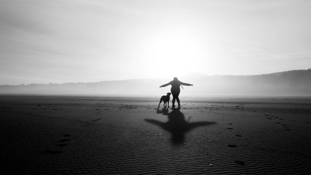 My Beautiful Life - by Dreamnote Music