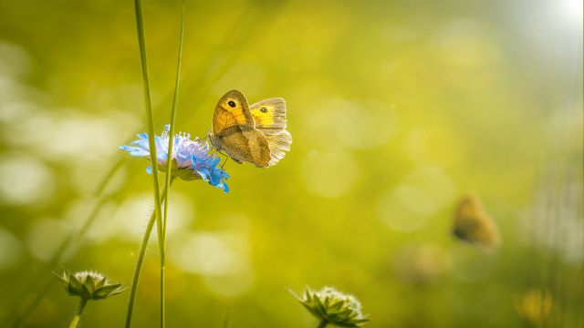 Sweet Summer Day - by Dreamnote Music