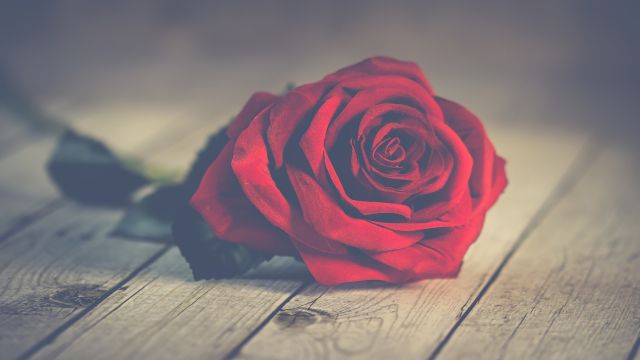 Valentine's Day Logo - by Dreamnote Music